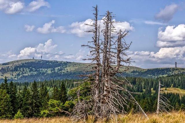 Bergsee Шлухзее Екстериор снимка